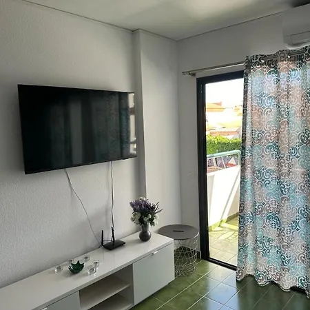 Surycan 마스팔로마스